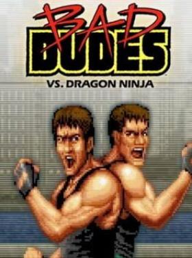 Bad Dudes vs. Dragon Ninja